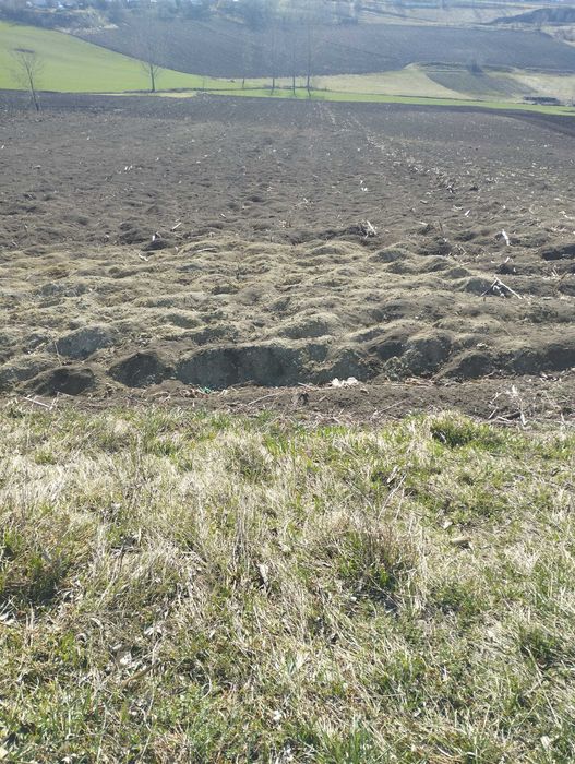 Teren in Moara central lîngă Primăria Moara