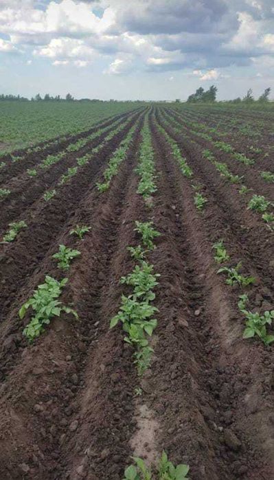 Продается участок 40 км от города