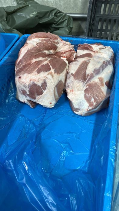 Свинско трупно месо и Пърлена свинска кожа от български прасета