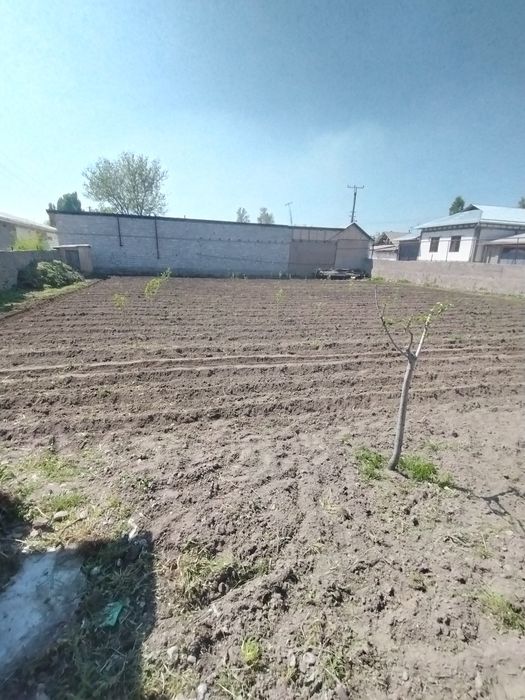 8 so'tih yer sotiladi