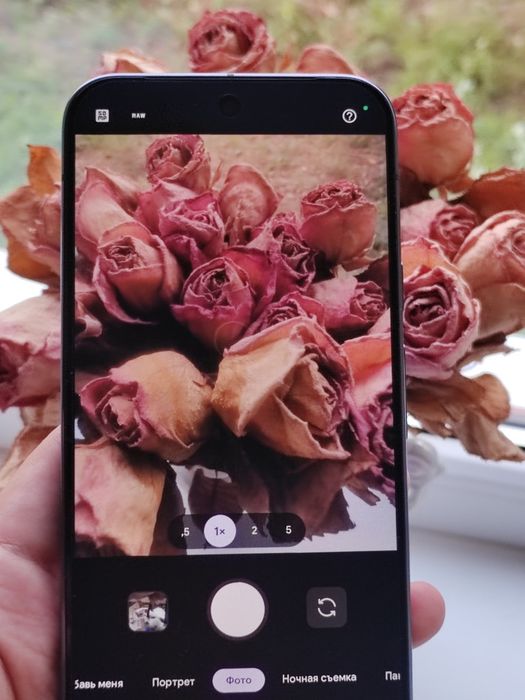 Google pixel 9 pro xl