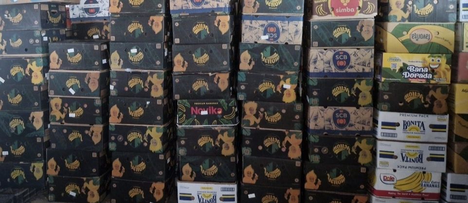 Vând baxuri de Banane NOI