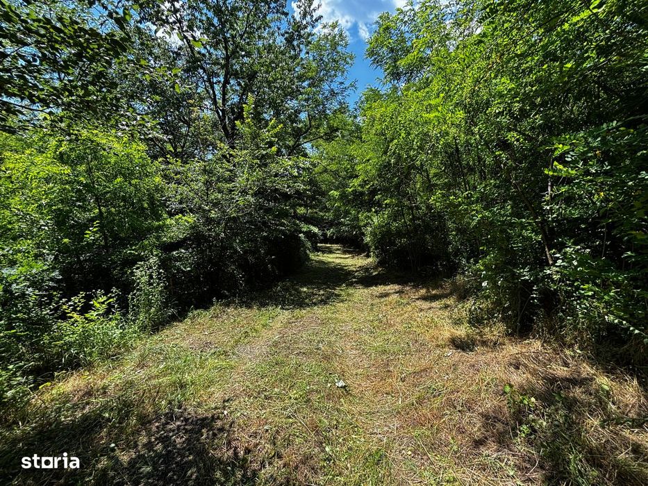 Teren Padure 6857 mp. intravilan Com Bujoreni-Valcea