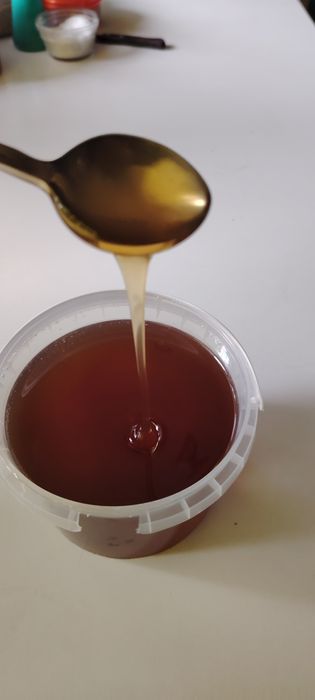 Продам мед майский свежий