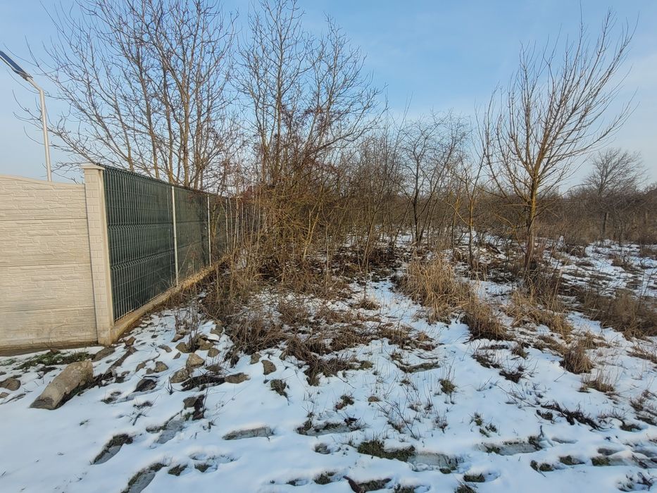 Vând teren intravilan  branesti islaz ilfov