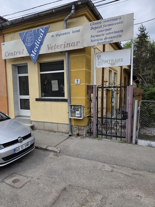 Spațiu comercial(casă)Pitesti strada.Raurilor