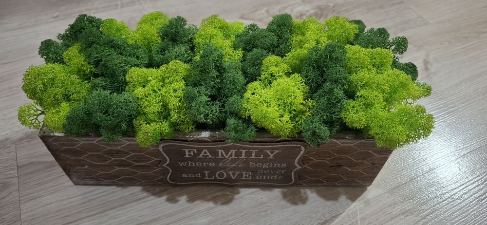 Кашпа със скандинавски мъх