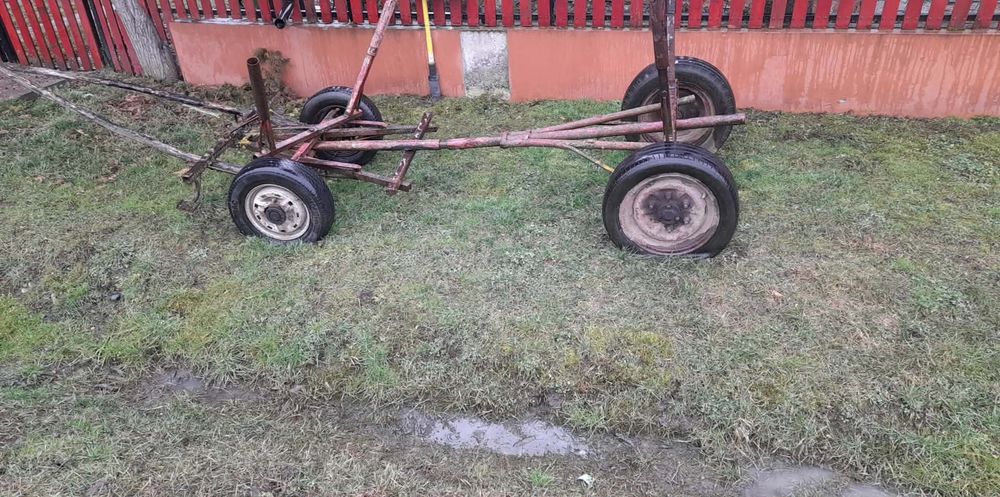 Vând vacii Baltate!