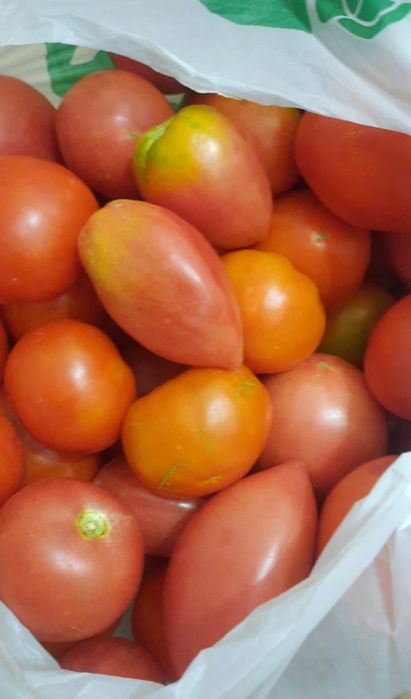 Продам домашние помидоры