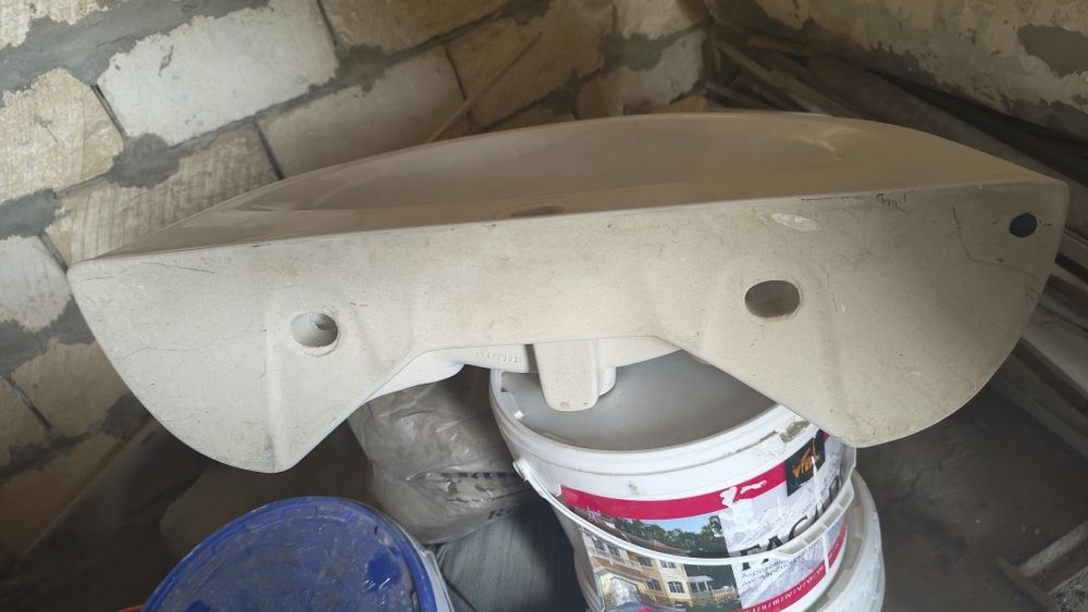 Раковина тюльпан