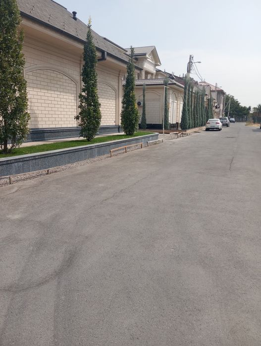 Bogʻbonchilik daraxtga ishlov berish