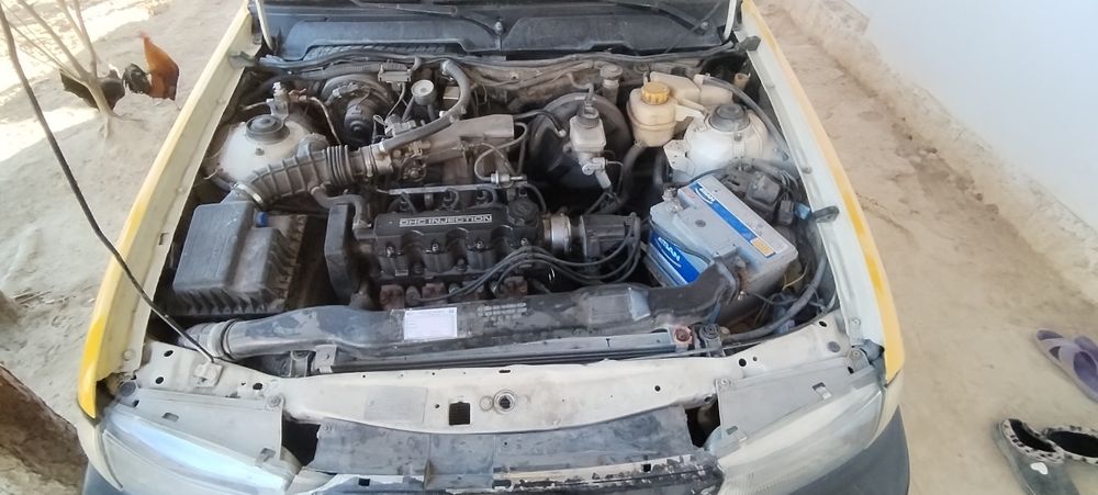 Nexia sons 1 pazitsiyap