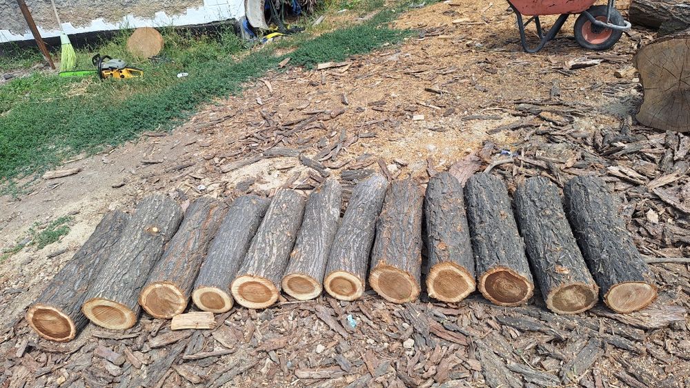 карагач бревна для декора