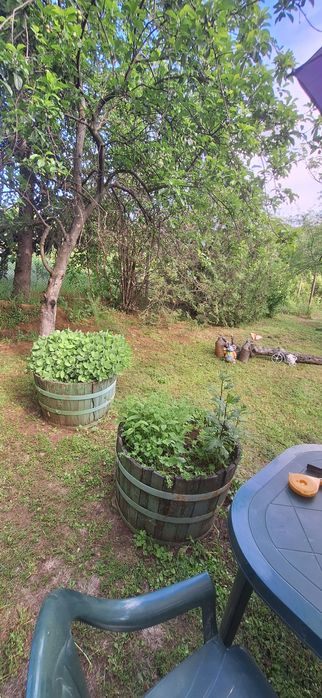 Продава се Къща в с. Николаево, Област Плевен - 100 кв.м за 550 €/кв.м - Снимка #14