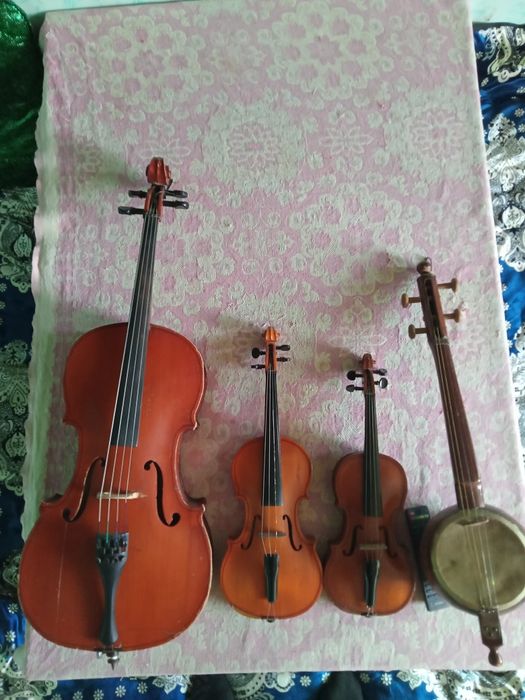 Мусика асбоплари