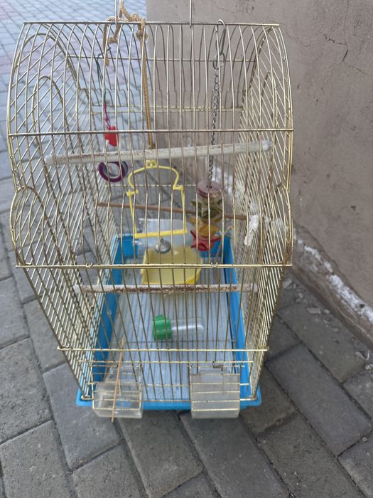 Клетка для попугаев