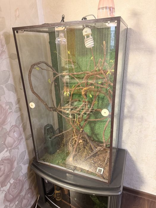 Террариум 100х60х40