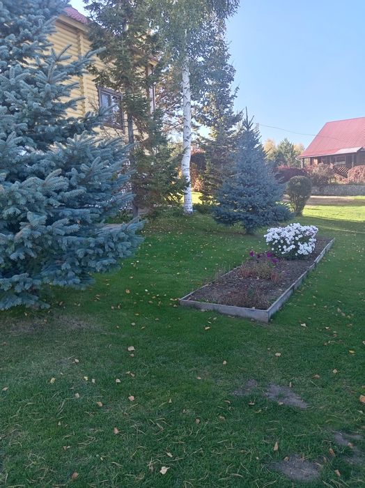 Аренда домика на бухтарме