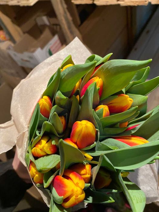 Тюльпаны. РАСПРОДАЖА. .