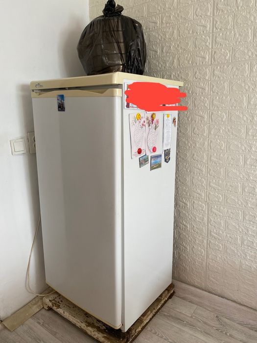 Холодильник шагын