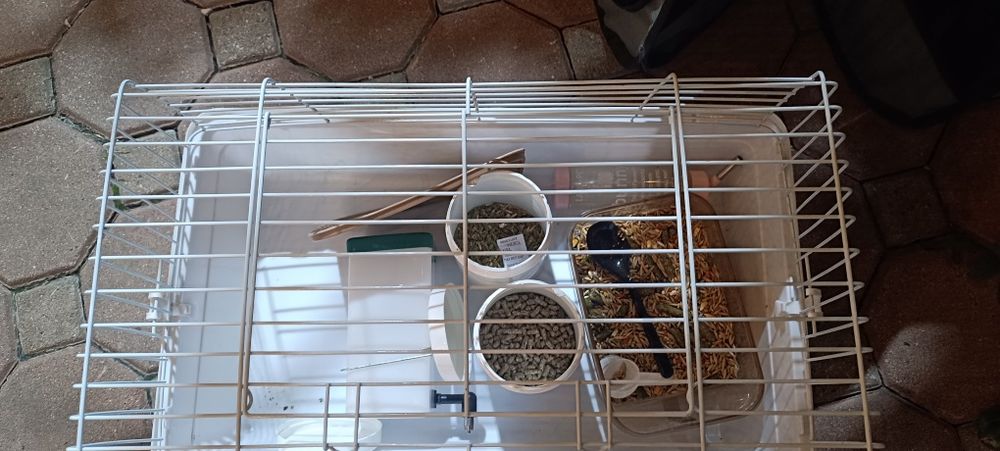 Продам клетку для заики