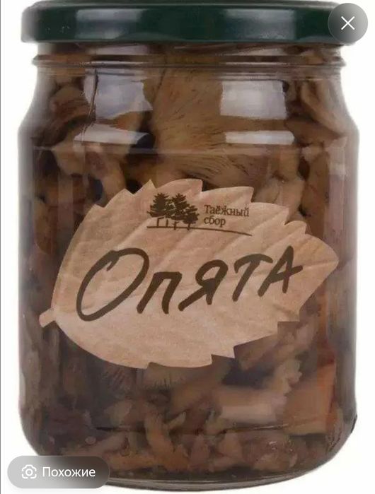 Продам опята в банках