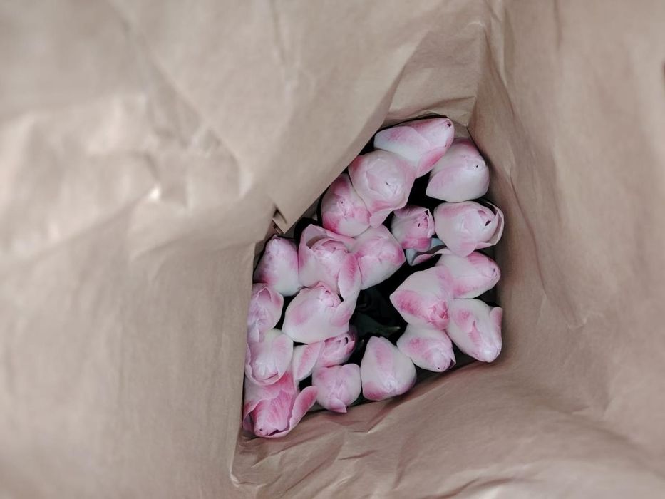 Тюльпаный по оптовой цене