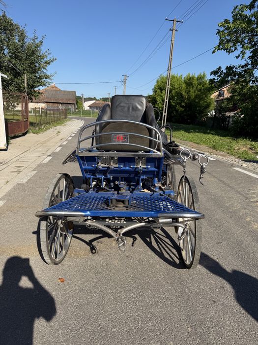 Vand trasura maraton Dominiak Poland
