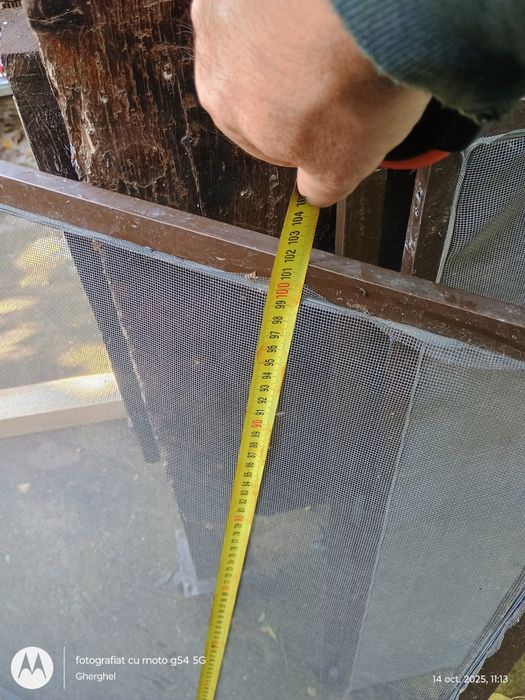 3 plase insecte culoare maro