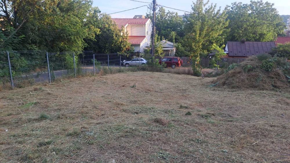 copaci si gradina , gazon si iarba nedorita