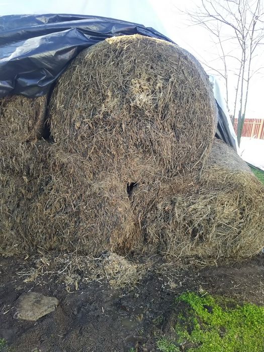 Baloti mari de ciocani și soia 120/160