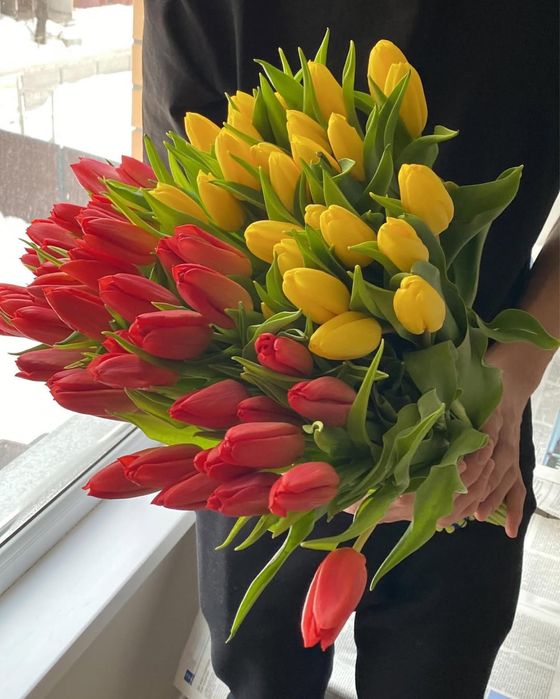 Тюльпаны к 8 марта!