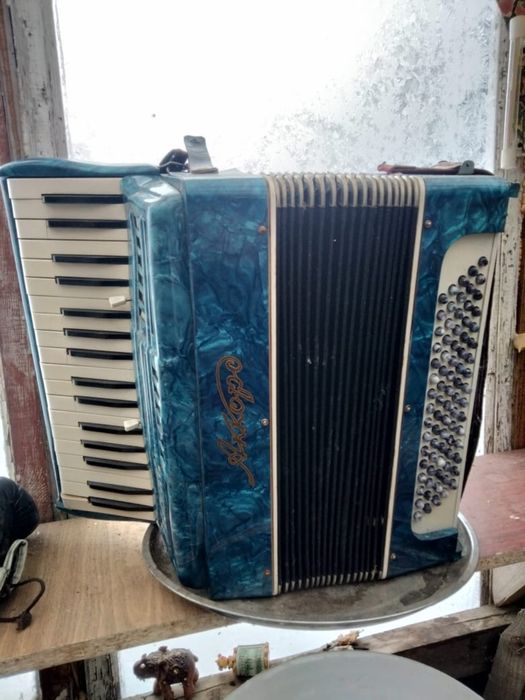 акардион с чехлом