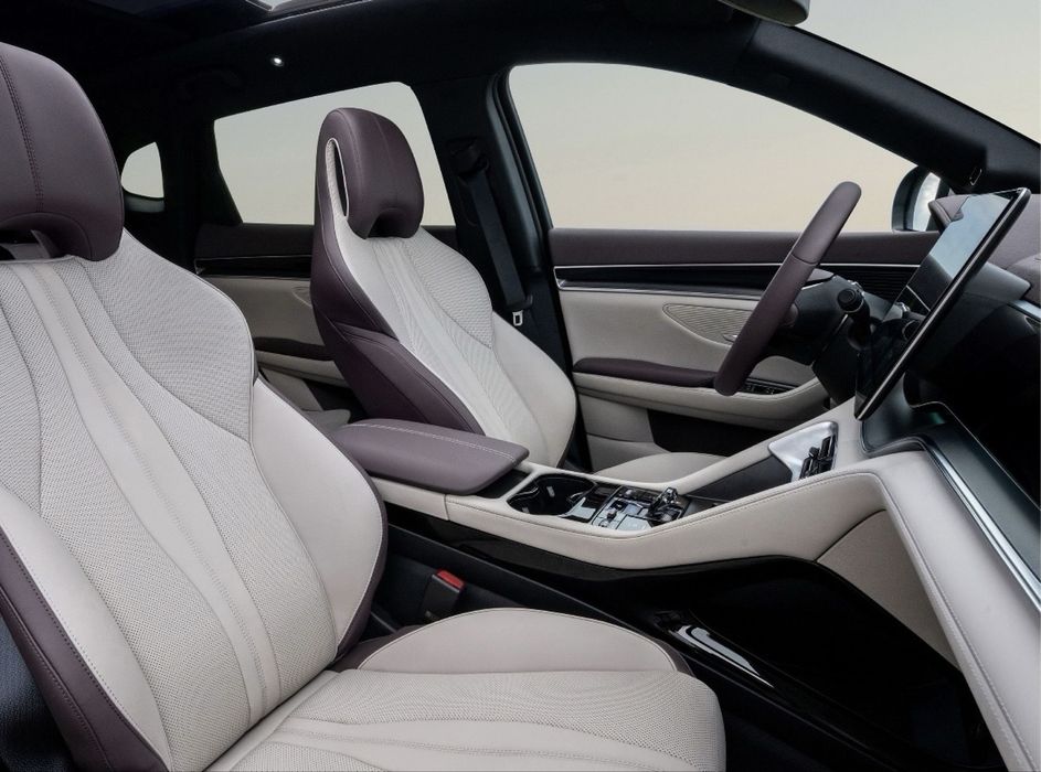 BYD Champion Restailing 2024/2025 EV