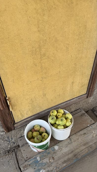 Продам дачу месты 8 сотое