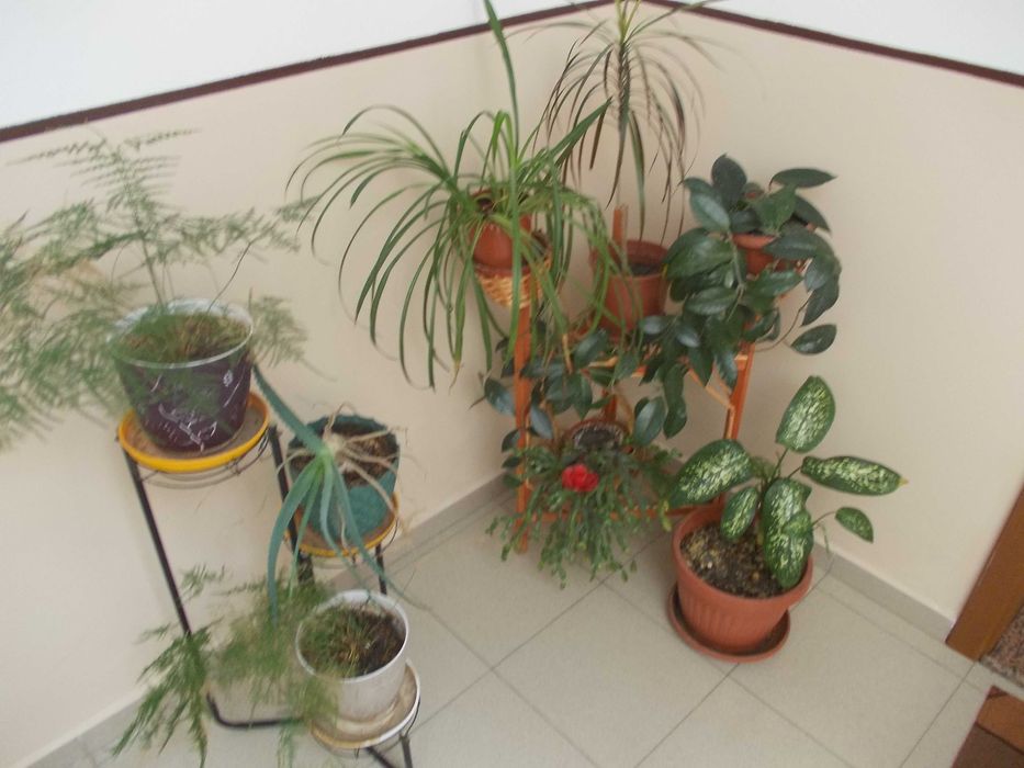 Nikon CoolPix L23    10.1 Мрх