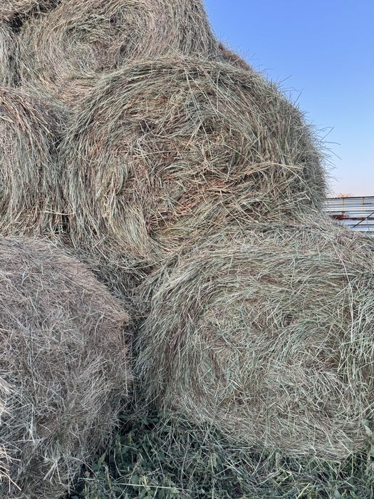 Продается СЕНО в тюках!!!