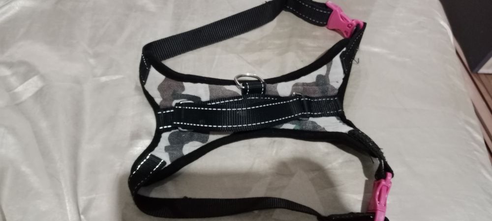 Шлейка для собак