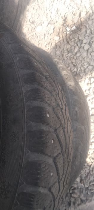 185/65/14 зима прадам