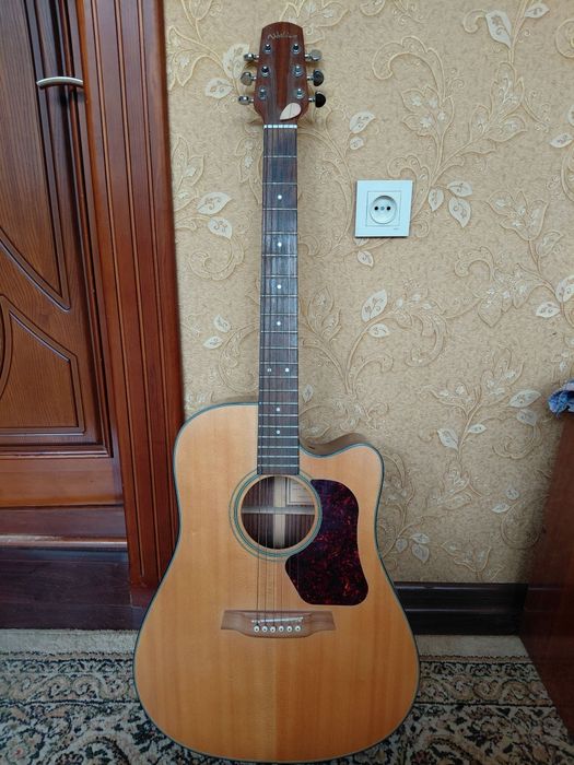 Gitara Walden (aqsh) 283$
