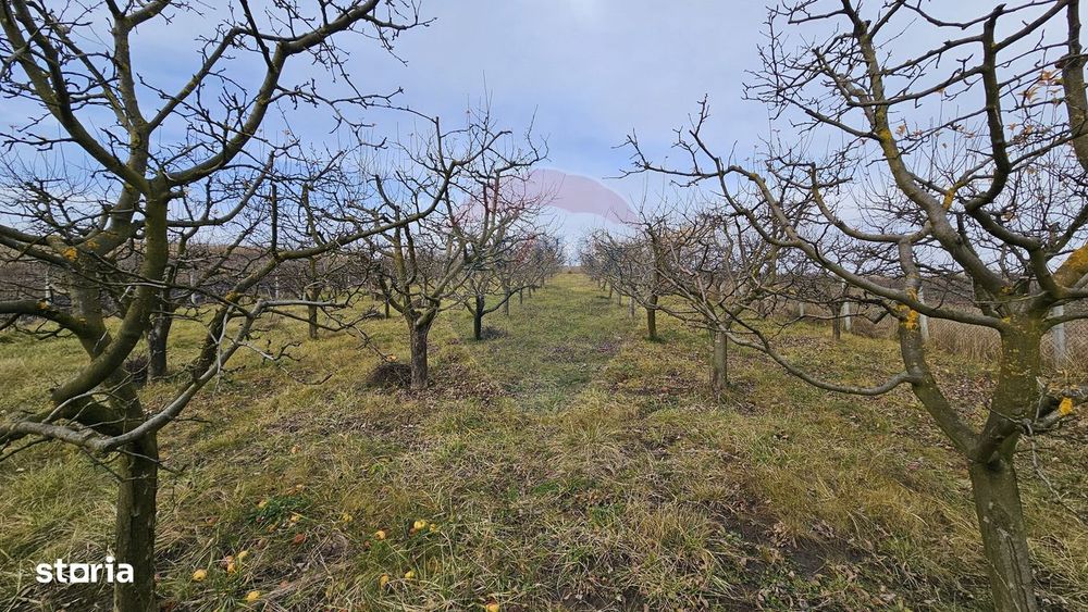 Teren extravilan 10,791mp Falticeni / Strada DJ209A, Opriseni