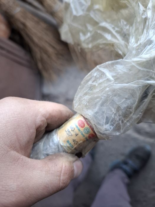 Planetara punte fata
