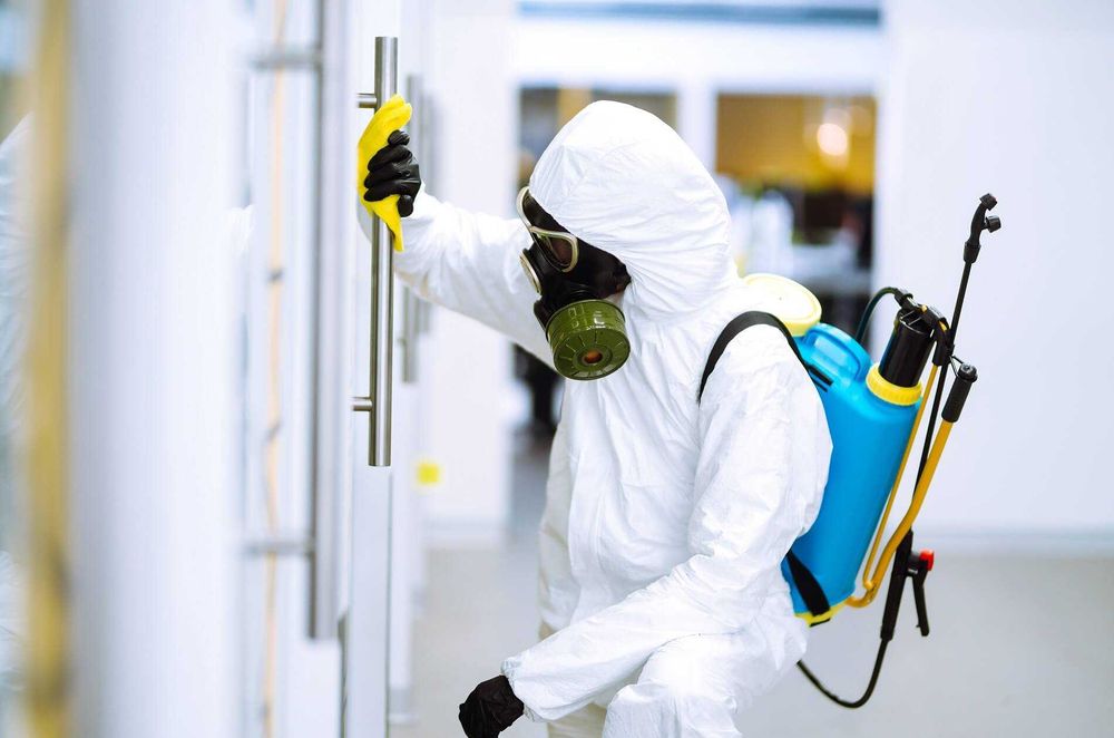 Клоп, таракан, блох, klapa, tarakan, ilon. Dezinfeksiya Дезинфекция