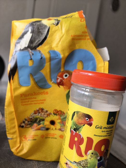Папугай Корелла продам