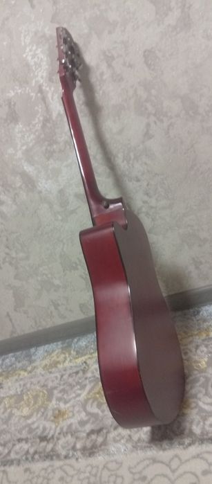 6 strunalik gitara