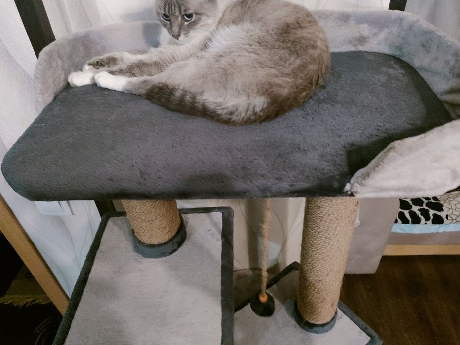 Домик для кошки.