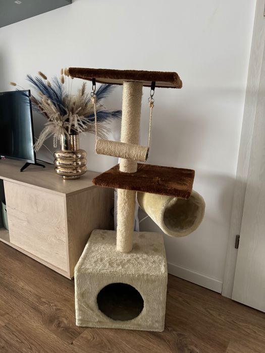 Ansamblu joacă pisici