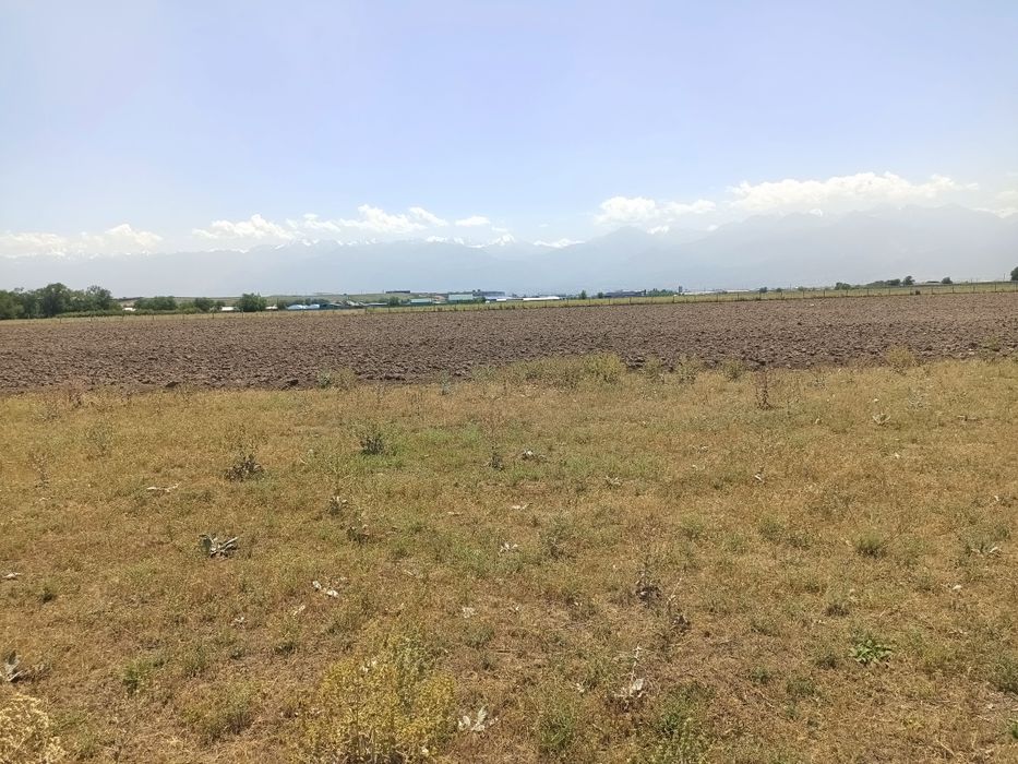 Участок 8 гектаров