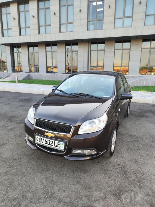 Nexia 3 4 Elegant Plus Choco