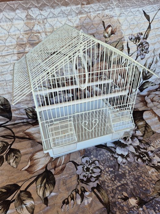 Клетки для попугаев